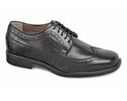 Long Wing Oxford BY HITCHCOCK